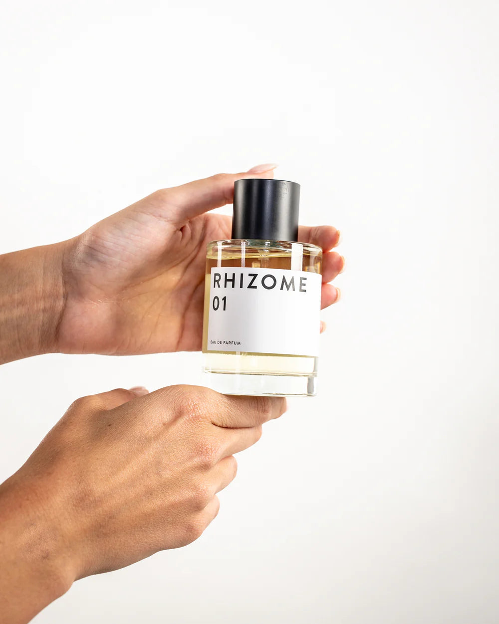 RHIZOME 01 EDP