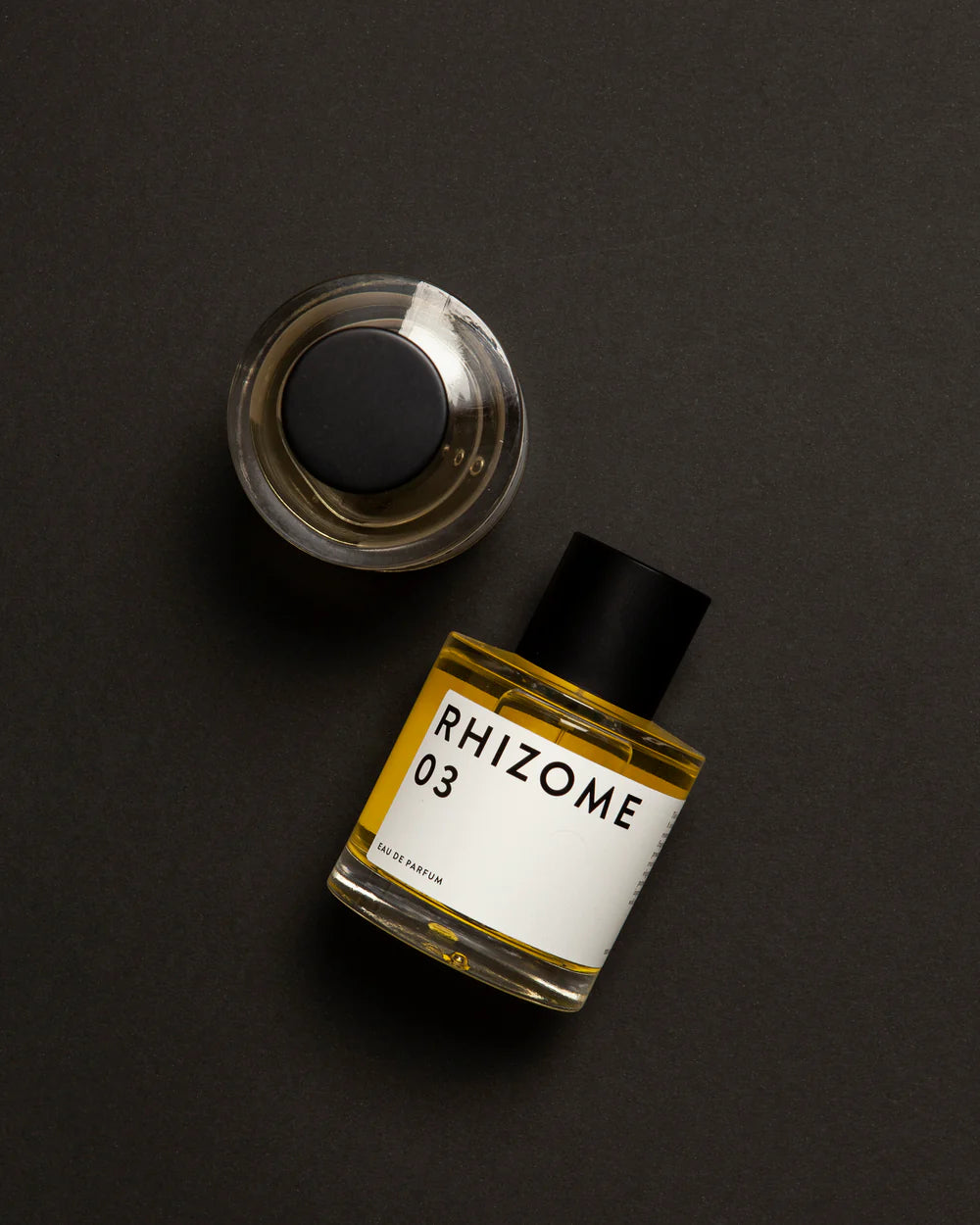 RHIZOME 03 EDP