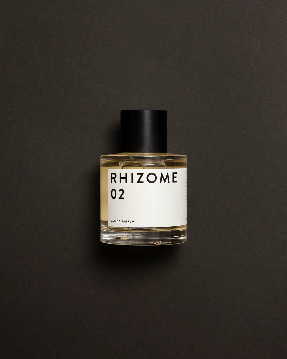 RHIZOME 02 EDP