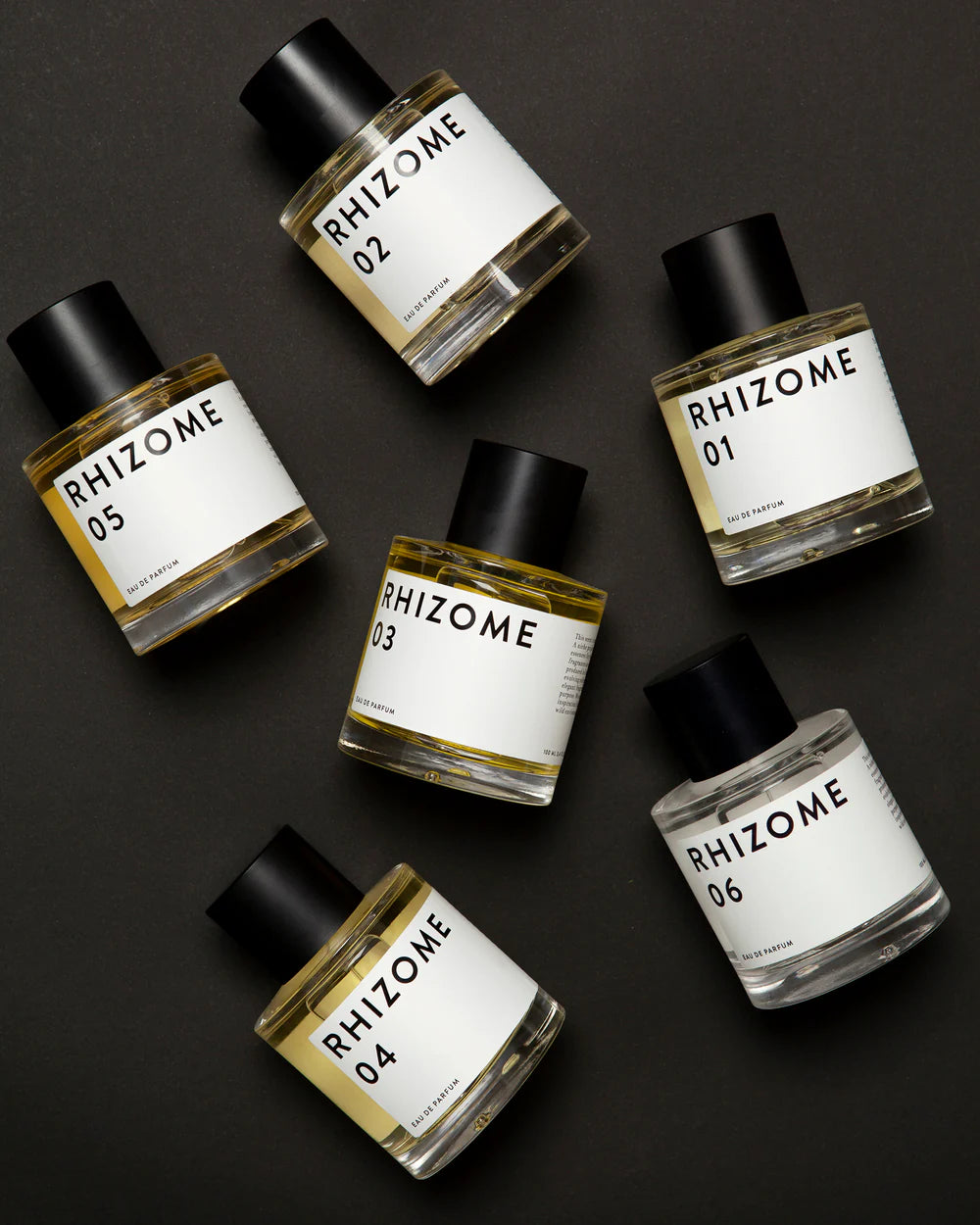 RHIZOME 04 EDP